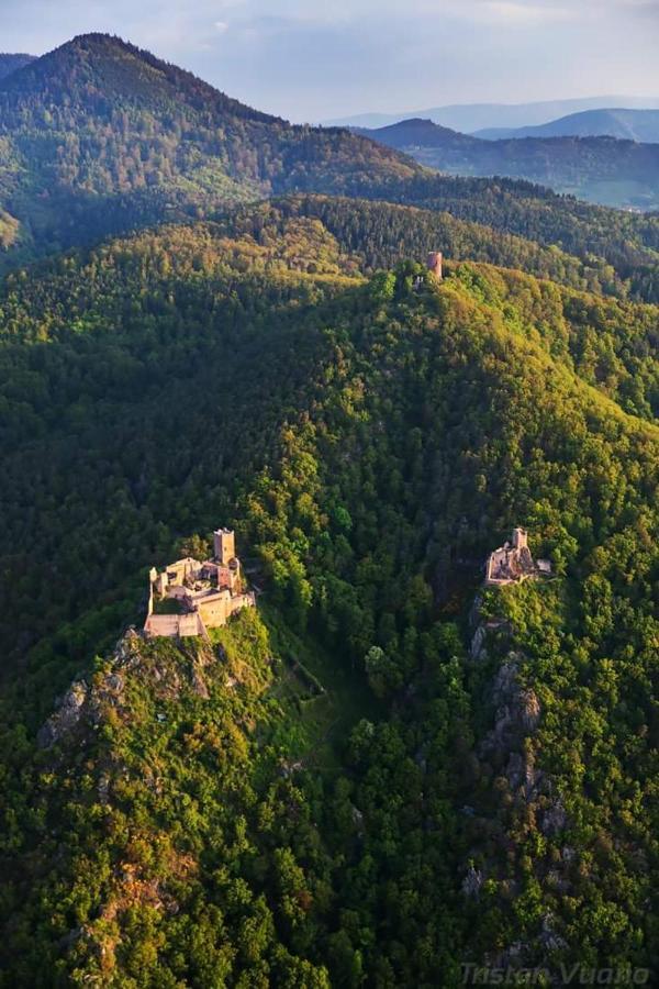 Gite See You Soon - Maisonnette Green Lodge Ribeauvillé Exteriör bild